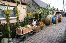 Urz�d Miejski w Wolsztynie