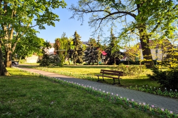 Urz�d Miejski w Wolsztynie