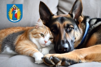 Urz�d Miejski w Wolsztynie